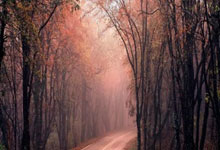 名鼎配资:股票杠杆网-“新大脑”要来！一图梳理英伟达机器人概念